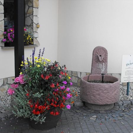 Landhotel Villa Moritz Garni Oberahr Ngoại thất bức ảnh