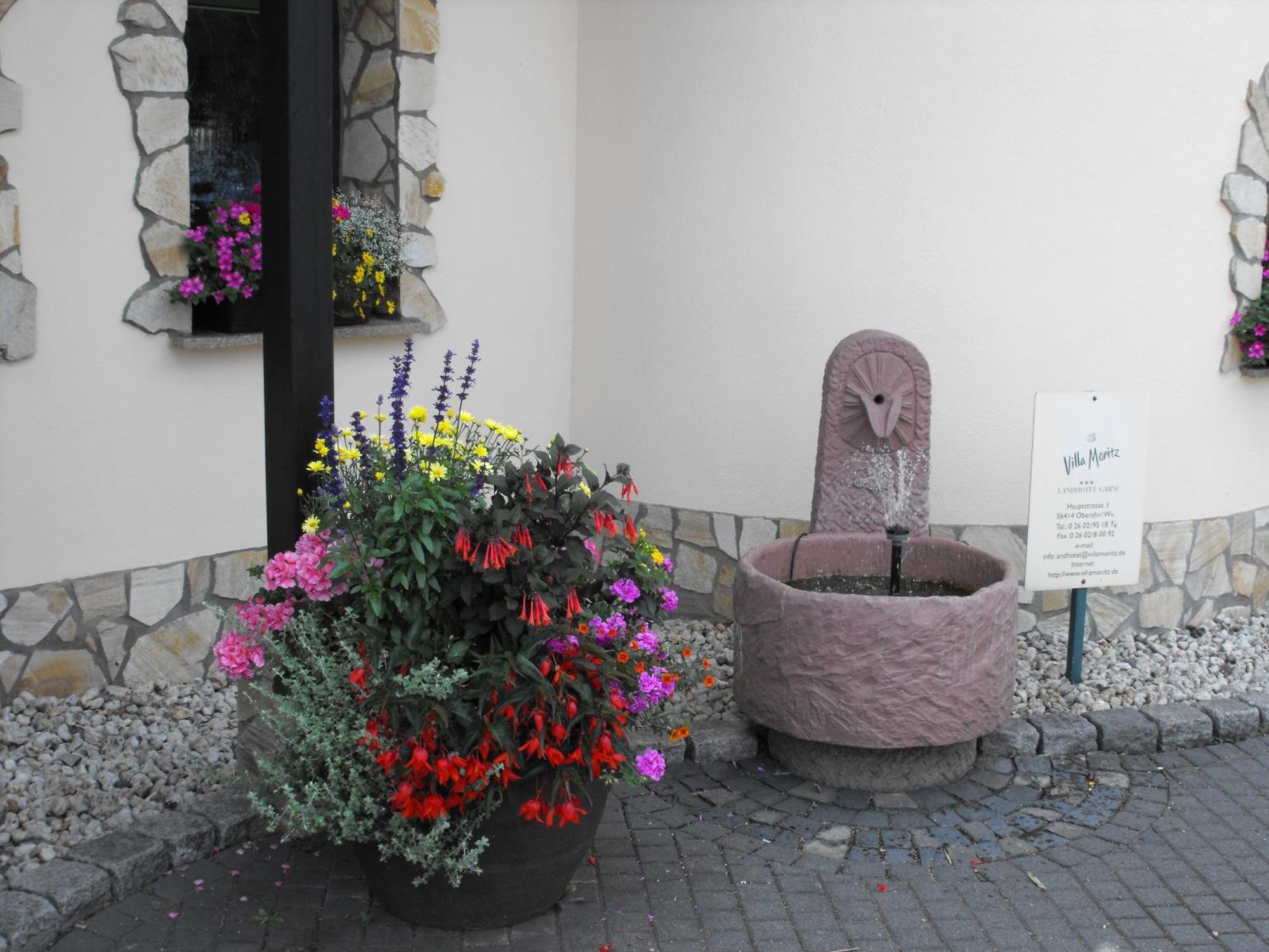 Landhotel Villa Moritz Garni Oberahr Ngoại thất bức ảnh